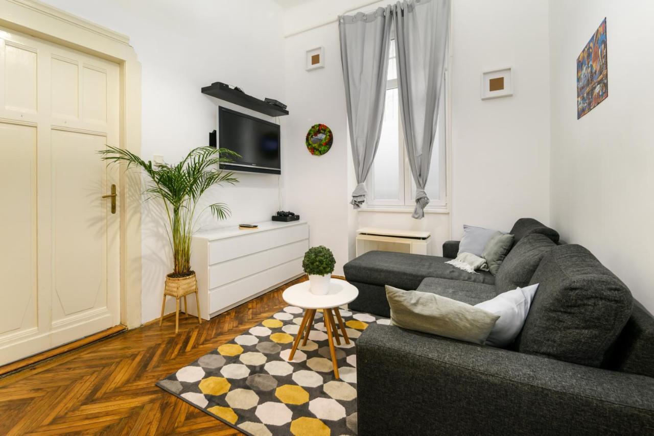 Two Separate Rooms Apartment In City Center, Party District 布达佩斯 外观 照片
